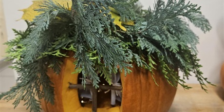 Powiększ grafikę: dynie-2025-p2-650472.jpg