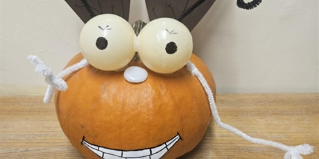 Powiększ grafikę: dynie-2025-p2-650474.jpg