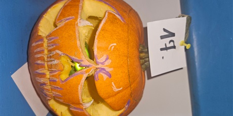 Powiększ grafikę: dynie-2025-p22-650498.jpg