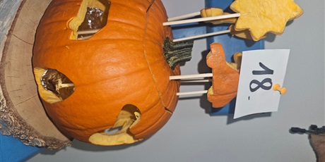 Powiększ grafikę: dynie-2025-p22-650499.jpg