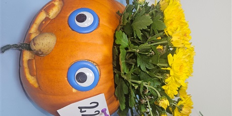 Powiększ grafikę: dynie-2025-p22-650510.jpg