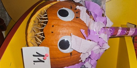 Powiększ grafikę: dynie-2025-p22-650519.jpg