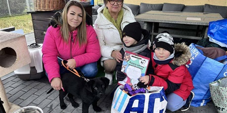 Powiększ grafikę: wizyta-w-schronisku-670879.jpg