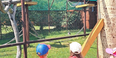 Powiększ grafikę: wycieczka-do-lemur-parku-705762.jpg